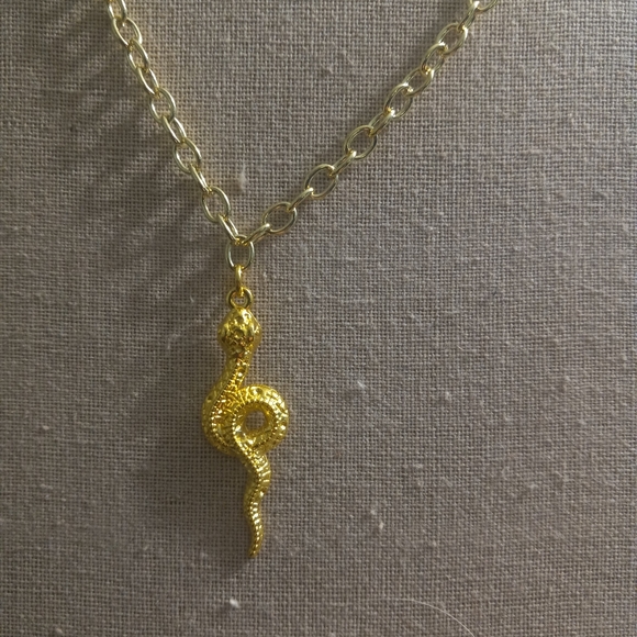 Hand Crafted Other - $4 Clearance Mens Chain